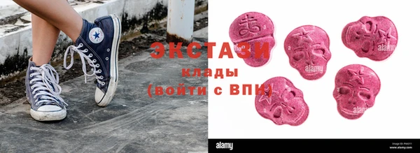 амф Гусев