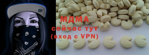 амф Гусев