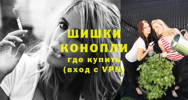 гидропоника Гусиноозёрск