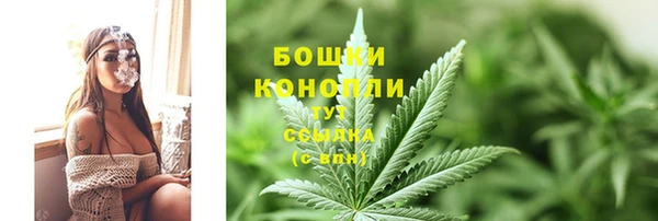 амф Гусев