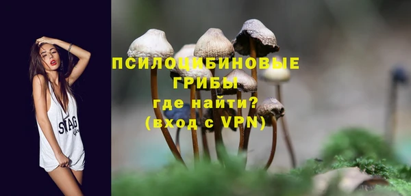 гидропоника Гусиноозёрск
