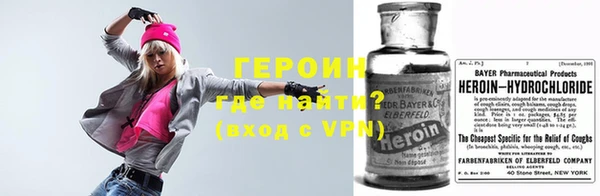 амф Гусев