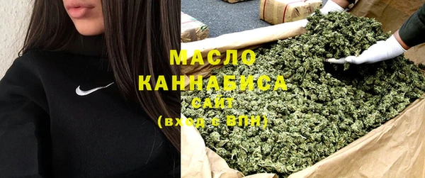 амф Гусев
