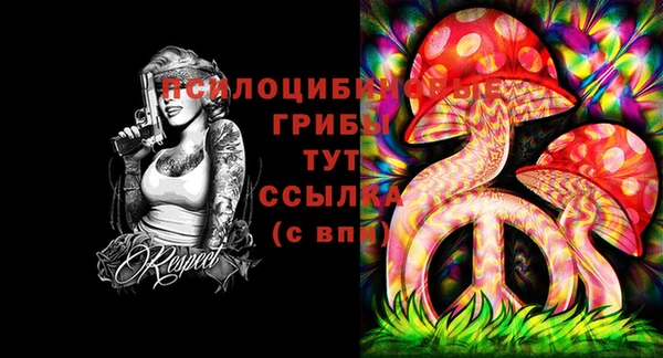 амф Гусев