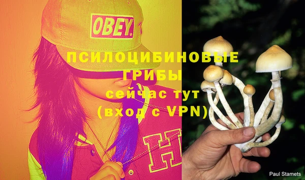 гидропоника Гусиноозёрск
