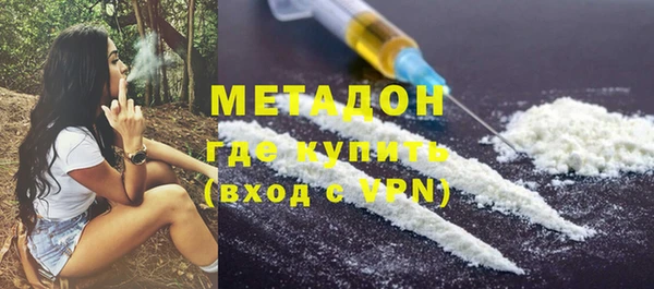 амф Гусев