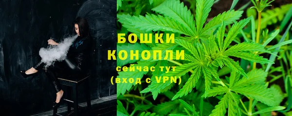 амф Гусев