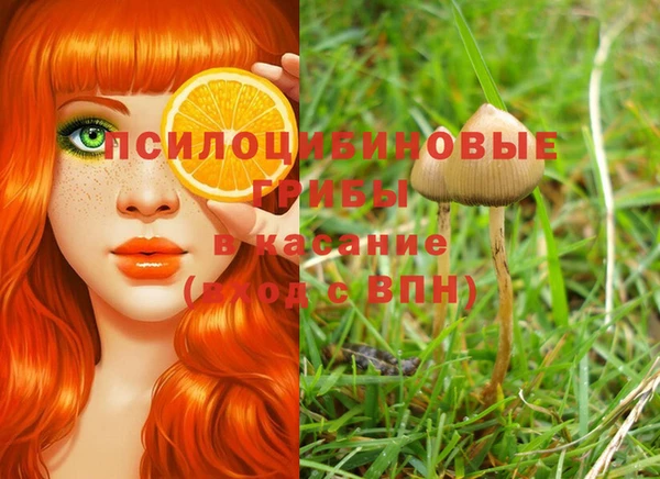 бутират Гусь-Хрустальный