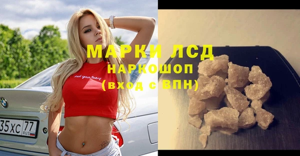 гидропоника Гусиноозёрск