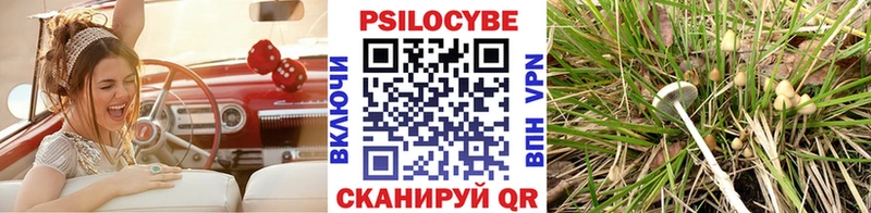 Галлюциногенные грибы Cubensis  Пестово 